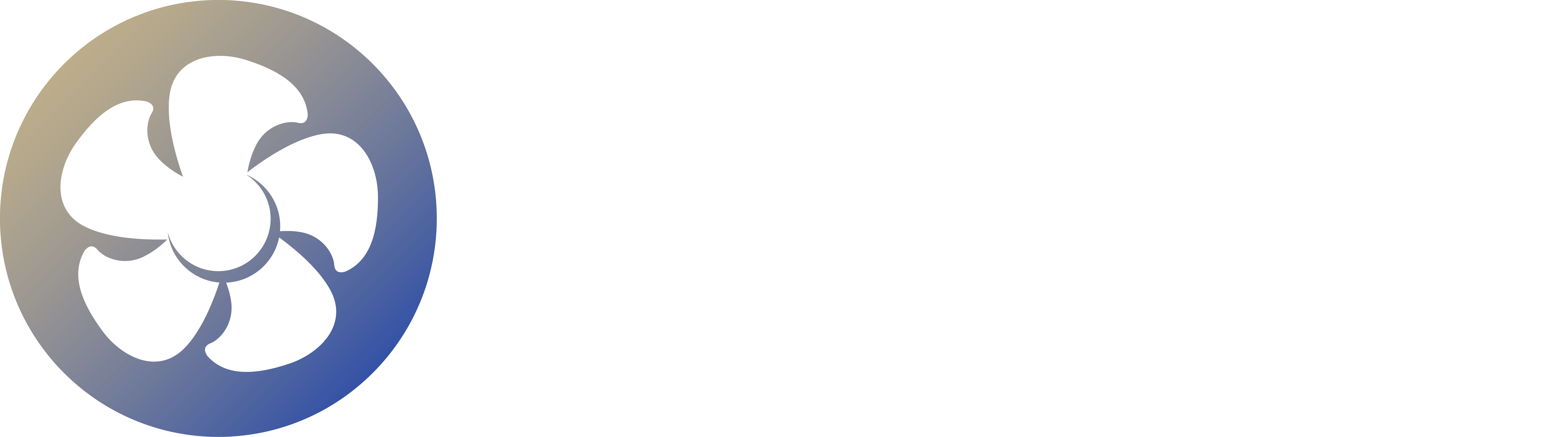 Tech Air Solutions Inc.